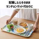 TATSU-CRAFT&nbsp;マグネットトレー&nbsp;M&nbsp;33cm&nbsp;どうぶつ&nbsp;すべり止め付き&nbsp;［Tk1085］