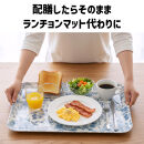 TATSU-CRAFT&nbsp;マグネットトレー&nbsp;M&nbsp;33cm&nbsp;レスト&nbsp;すべり止め付き&nbsp;［Tk1101］