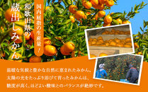 訳あり&nbsp;蔵出しみかん&nbsp;約10kg&nbsp;2S～2Lサイズ混合