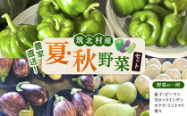 先行予約【2026年9月上旬頃～順次発送予定】ちっくほっくふぁ～む　夏・秋野菜セット