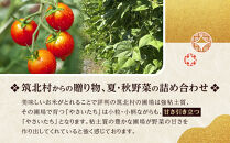 先行予約【2026年9月上旬頃～順次発送予定】ちっくほっくふぁ～む　夏・秋野菜セット