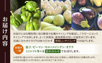 先行予約【2026年9月上旬頃～順次発送予定】ちっくほっくふぁ～む　夏・秋野菜セット