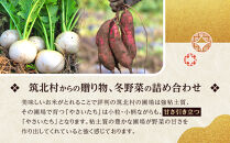 先行予約【2026年11月上旬頃～順次発送予定】ちっくほっくふぁ～む　冬野菜セット
