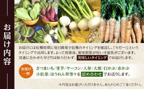 先行予約【2026年11月上旬頃～順次発送予定】ちっくほっくふぁ～む　冬野菜セット