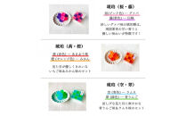 いづも寒天工房&nbsp;出雲大社参道本店の寒天和菓子などの詰合せ9品・縁