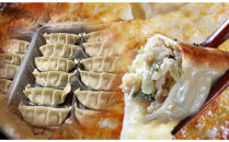 【ふるさと納税】鉄板餃子歩夢　手作り餃子　1kg（和豚もちぶた使用）