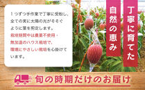 【2026年夏発送】パッションフルーツ&nbsp;(2kg24個入りバラ詰)&nbsp;2026年6月～出荷開始&nbsp;リリコイ&nbsp;南国フルーツ&nbsp;デザート&nbsp;人気&nbsp;鹿児島県&nbsp;&nbsp;与論町