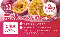 【2026年夏発送】パッションフルーツ&nbsp;(2kg24個入りバラ詰)&nbsp;2026年6月～出荷開始&nbsp;リリコイ&nbsp;南国フルーツ&nbsp;デザート&nbsp;人気&nbsp;鹿児島県&nbsp;&nbsp;与論町