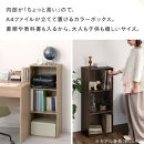 【完成品＋設置付き】カラーボックス&nbsp;3段&nbsp;固定棚（ウォールナット）カラーボックス&nbsp;3段&nbsp;A4&nbsp;横置き&nbsp;縦置き&nbsp;約&nbsp;幅40cm&nbsp;高さ100cm&nbsp;奥行30cm&nbsp;収納棚&nbsp;おしゃれ&nbsp;本棚&nbsp;大容量&nbsp;スリム&nbsp;AKONBR920127-0-WAL