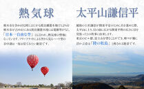 はるオンパックスミニ&nbsp;４８０枚（３０枚入×１６箱）１ケース&nbsp;｜&nbsp;カイロ&nbsp;防寒&nbsp;暖&nbsp;エステー&nbsp;日用品