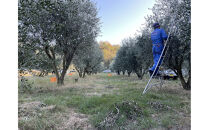 小豆島産100%&nbsp;ExtraVirgin&nbsp;オリーブオイル&nbsp;108g×2本