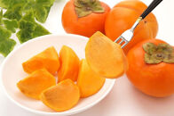 2026年度発送【定期便&nbsp;４回】シャインマスカットから始まる　満足定期便☆２