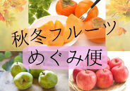 2026年度発送【定期便３回&nbsp;】秋冬フルーツ恵み便