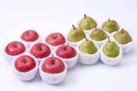 【2026年発送】どちらも食べたい！「ラ・フランスとサンふじりんごセット　約5kg（13～20玉）」秀