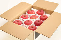 【2026年発送】太陽燦々☆サンふじりんご　約3kg（7～13玉）秀