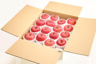 【2026年発送】太陽燦々☆サンふじりんご　約5kg（13～20玉）秀