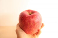 【2026年発送】太陽燦々☆サンふじりんご　約5kg（13～20玉）秀