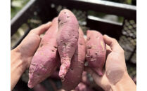 安納芋　5kg　富山県