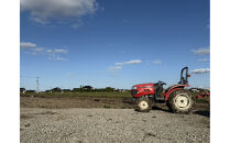 安納芋　5kg　富山県