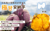 安納芋　5kg　富山県&nbsp;|&nbsp;あんのういも&nbsp;いも&nbsp;イモ&nbsp;芋&nbsp;甘い&nbsp;焼き芋&nbsp;さつまいも&nbsp;サツマイモ&nbsp;秋の味覚&nbsp;地元特産品&nbsp;野菜&nbsp;産地直送&nbsp;人気&nbsp;おすすめ&nbsp;送料無料