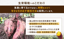 安納芋　5kg　富山県&nbsp;|&nbsp;あんのういも&nbsp;いも&nbsp;イモ&nbsp;芋&nbsp;甘い&nbsp;焼き芋&nbsp;さつまいも&nbsp;サツマイモ&nbsp;秋の味覚&nbsp;地元特産品&nbsp;野菜&nbsp;産地直送&nbsp;人気&nbsp;おすすめ&nbsp;送料無料