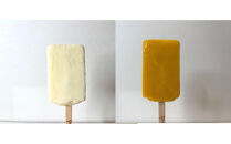 ジェラートコンテストで世界一を取ったシェフが本気で作ったイタリアンアイスバー１０本入り