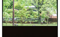 『GORA&nbsp;BREWERY&nbsp;PUBLIC&nbsp;HOUSE』&nbsp;食事券9,900円