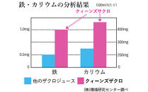 クィーンズザクロ　ザクロエキスステックタイプ　13.5g×10包