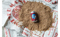 International&nbsp;Beer&nbsp;Cup金賞受賞&nbsp;『GORA&nbsp;BREWERY』&nbsp;人気銘柄3種缶6本セット