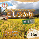 令和7年産　山崎農園こしひかり　無洗米5kg