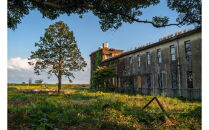 令和８年２月１８日（水）美浦村体感&nbsp;トレセン調教見学付き村内ツアーと特産品（お米5kg）