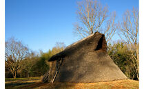 令和８年２月１８日（水）美浦村体感&nbsp;トレセン調教見学付き村内ツアーと特産品（お米5kg）