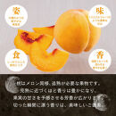 晴れの国　おかやまの白桃＆黄金桃食べ比べ4玉　＜先行受付：2026年8月下旬～発送＞