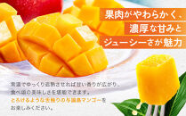 「2026夏発送」★厳選★&nbsp;完熟&nbsp;与論島マンゴー&nbsp;２kg（5～6個）【数量限定】【産地直送】【先行予約】