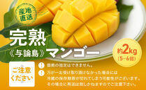 「2026夏発送」★厳選★&nbsp;完熟&nbsp;与論島マンゴー&nbsp;２kg（5～6個）【数量限定】【産地直送】【先行予約】