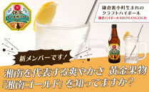 鎌倉ハイボール&nbsp;SHONANGOLD　6本