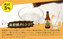 鎌倉ハイボール&nbsp;SHONANGOLD　6本