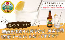 鎌倉ハイボール&nbsp;GINGER&nbsp;３本　SHONANGOLD&nbsp;３本