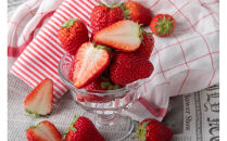 苺屋いちかわ農園直送！その時一番おいしいイチゴ4パックセット【配送不可：沖縄県・離島】