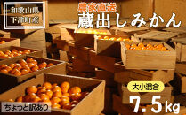 蔵出しみかん&nbsp;7.5kg&nbsp;混合サイズ&nbsp;訳あり&nbsp;1月～3月発送&nbsp;和歌山県産&nbsp;農園直送&nbsp;まごころ産直みかん&nbsp;［北海道・沖縄県・一部離島&nbsp;配送不可］&nbsp;ミカン&nbsp;蜜柑&nbsp;Mikan&nbsp;温州みかん&nbsp;温州ミカン&nbsp;わけあり&nbsp;訳アリ&nbsp;ちょっと訳あり&nbsp;くらだし&nbsp;下津の蔵出しみかん