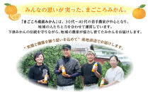 蔵出しみかん&nbsp;7.5kg&nbsp;混合サイズ&nbsp;訳あり&nbsp;1月～3月発送&nbsp;和歌山県産&nbsp;農園直送&nbsp;まごころ産直みかん&nbsp;［北海道・沖縄県・一部離島&nbsp;配送不可］&nbsp;ミカン&nbsp;蜜柑&nbsp;Mikan&nbsp;温州みかん&nbsp;温州ミカン&nbsp;わけあり&nbsp;訳アリ&nbsp;ちょっと訳あり&nbsp;くらだし&nbsp;下津の蔵出しみかん
