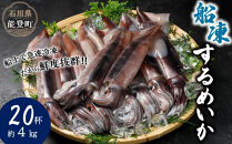 【復興支援】船凍するめいか&nbsp;約4kg&nbsp;20杯&nbsp;(&nbsp;2杯&nbsp;×&nbsp;10袋&nbsp;)小分け&nbsp;個包装&nbsp;刺し身&nbsp;海産物&nbsp;魚介類&nbsp;獲れたて&nbsp;急速冷凍&nbsp;新鮮&nbsp;刺身&nbsp;さしみ&nbsp;烏賊&nbsp;人気&nbsp;おすすめ&nbsp;ご当地グルメ&nbsp;カルパッチョ&nbsp;パスタ&nbsp;いかめし&nbsp;煮物