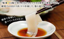 【復興支援】船凍するめいか&nbsp;約4kg&nbsp;20杯&nbsp;(&nbsp;2杯&nbsp;×&nbsp;10袋&nbsp;)小分け&nbsp;個包装&nbsp;刺し身&nbsp;海産物&nbsp;魚介類&nbsp;獲れたて&nbsp;急速冷凍&nbsp;新鮮&nbsp;刺身&nbsp;さしみ&nbsp;烏賊&nbsp;人気&nbsp;おすすめ&nbsp;ご当地グルメ&nbsp;カルパッチョ&nbsp;パスタ&nbsp;いかめし&nbsp;煮物