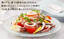 【復興支援】船凍するめいか&nbsp;約4kg&nbsp;20杯&nbsp;(&nbsp;2杯&nbsp;×&nbsp;10袋&nbsp;)小分け&nbsp;個包装&nbsp;刺し身&nbsp;海産物&nbsp;魚介類&nbsp;獲れたて&nbsp;急速冷凍&nbsp;新鮮&nbsp;刺身&nbsp;さしみ&nbsp;烏賊&nbsp;人気&nbsp;おすすめ&nbsp;ご当地グルメ&nbsp;カルパッチョ&nbsp;パスタ&nbsp;いかめし&nbsp;煮物