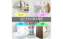 クリスタル盛り塩　＜カラー：レッド赤富士＞