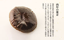 【権太呂】しっぽくうどん&nbsp;4個｜京都&nbsp;老舗&nbsp;うどん&nbsp;人気店［こし&nbsp;コシ&nbsp;名店&nbsp;極上&nbsp;羅臼昆布&nbsp;&nbsp;秘伝のだし&nbsp;人気&nbsp;おすすめ&nbsp;グルメ&nbsp;&nbsp;ギフト&nbsp;贈答&nbsp;お取り寄せ&nbsp;通販&nbsp;送料無料&nbsp;ふるさと納税&nbsp;］