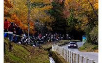 ラリージャパン【稲武設楽SS（稲武観戦エリア）観戦券／大人３名＋こども２名（夏焼グラウンドP&R）】5月29日（金）