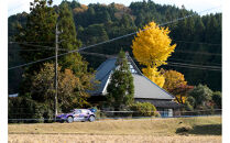 ラリージャパン【三河湖SS（三河湖観戦エリア）ポディウム付観戦券／大人１名＋こども３名（トヨタテクニカルセンター下山駐車場P&R）】5月31日（日）