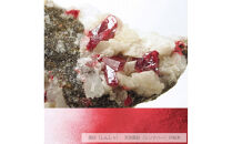 はなもっこ&nbsp;掛時計&nbsp;辰砂　ブラウン&nbsp;時計&nbsp;金沢市&nbsp;石川県&nbsp;インテリア&nbsp;シンプル&nbsp;&nbsp;雑貨&nbsp;日用品&nbsp;日用雑貨&nbsp;石川&nbsp;金沢&nbsp;北陸&nbsp;復興支援&nbsp;復興応援