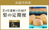 【2026年発送分&nbsp;先行予約】【梨の定期便／全2回発送】和梨2カ月連続お届け&nbsp;5kg（品種おまかせ）